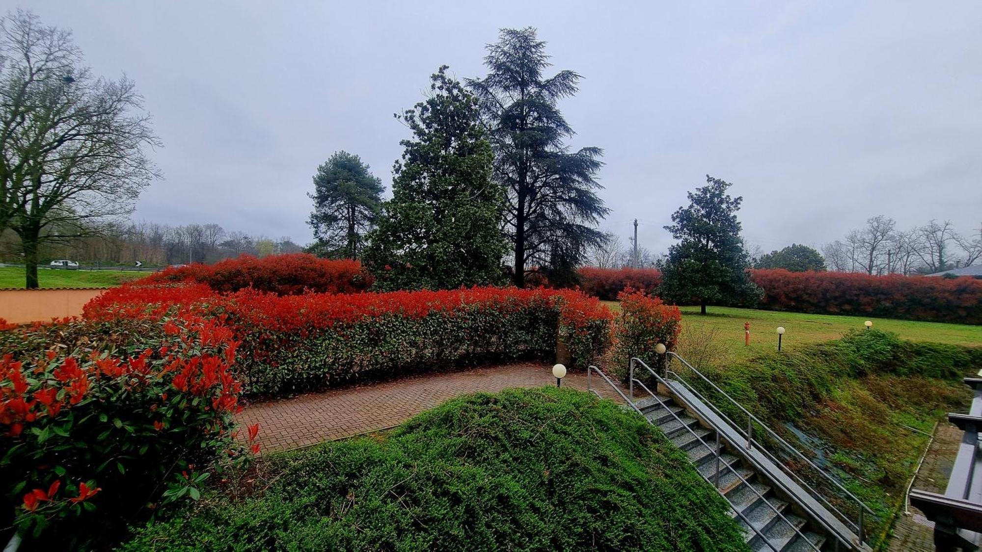 אולג'ו Hotel Villa Delle Rose - Malpensa מראה חיצוני תמונה